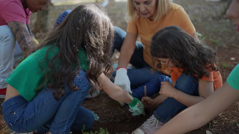 How Our Tree Care Process Works  in  Heartland, TX